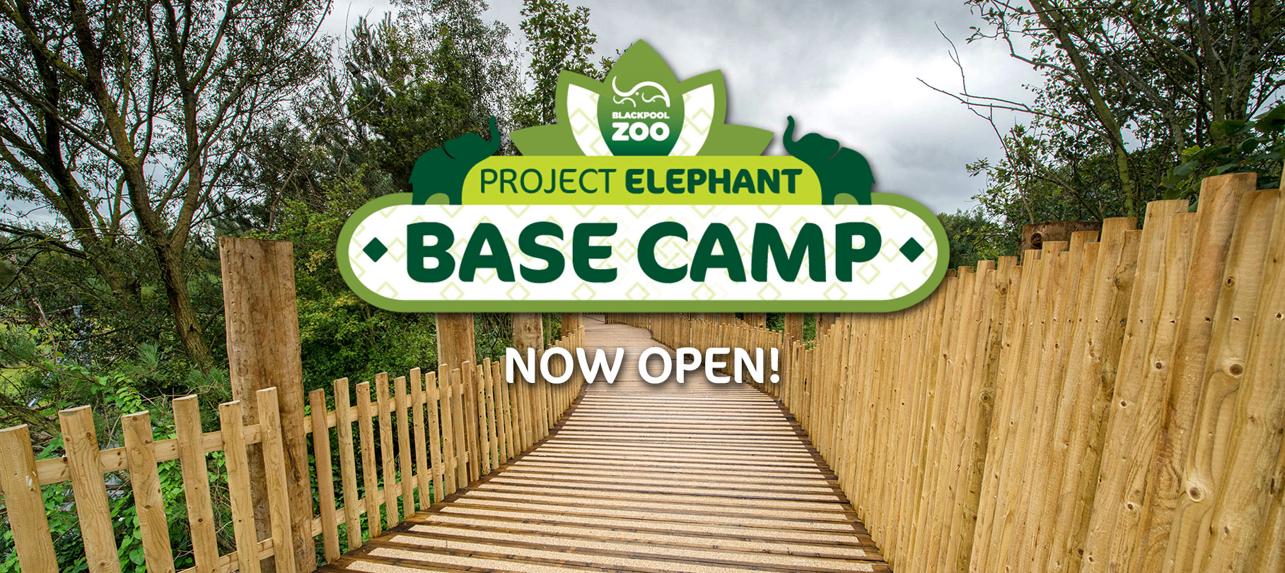 Project Elephant Blackpool Zoo For a future where elephants thrive in our care, in others