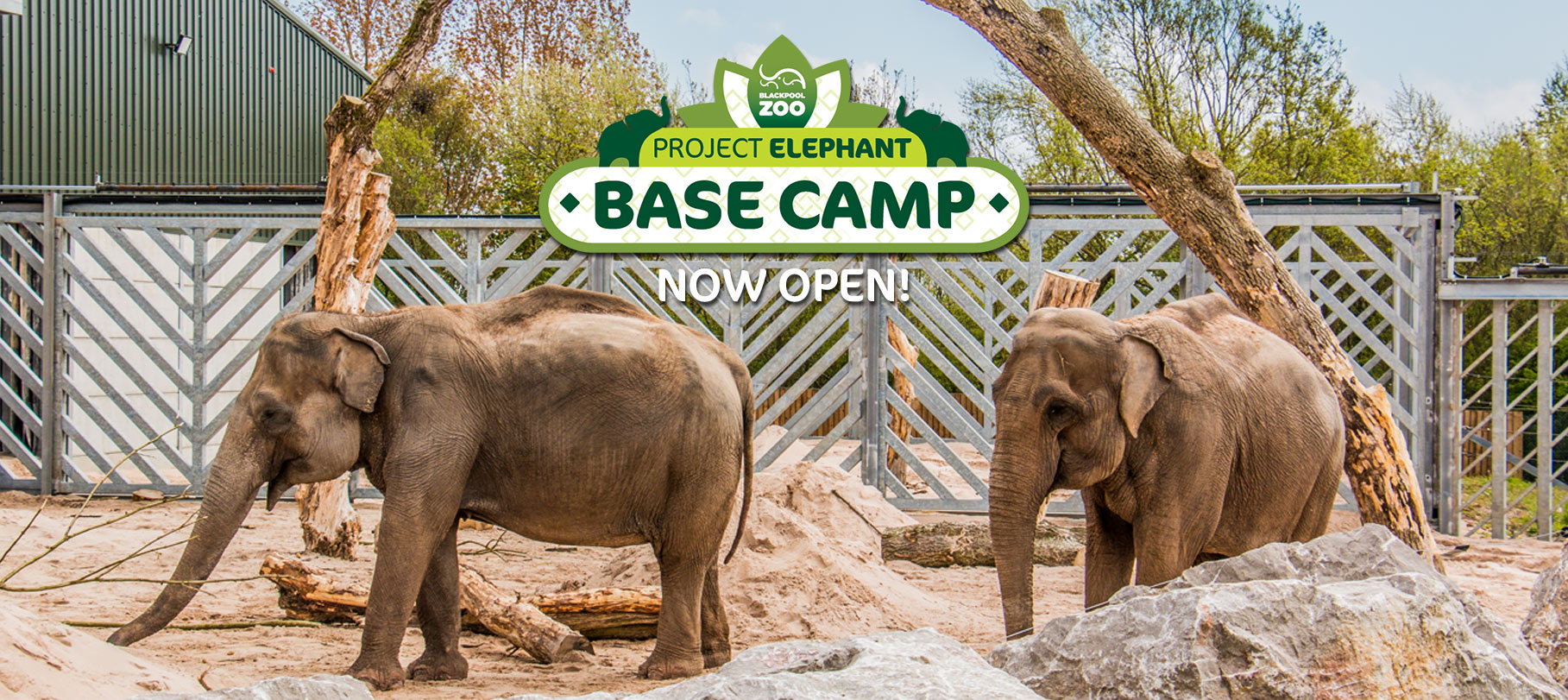 Project Elephant Blackpool Zoo For a future where elephants thrive